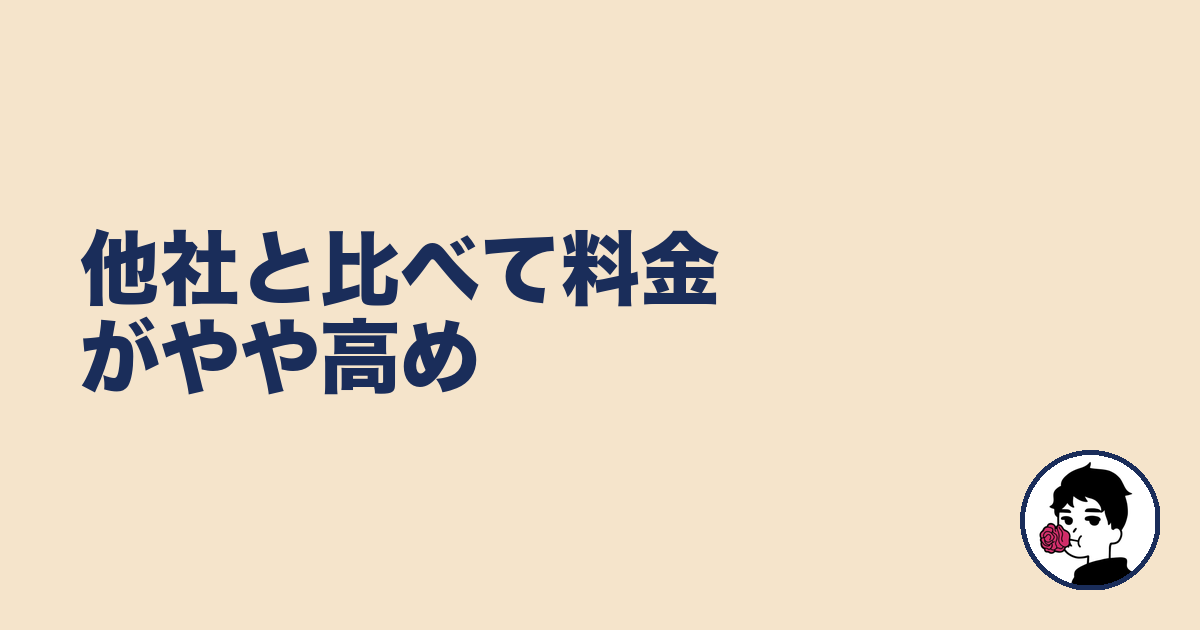 他社と比べて料金がやや高め|やましょ
