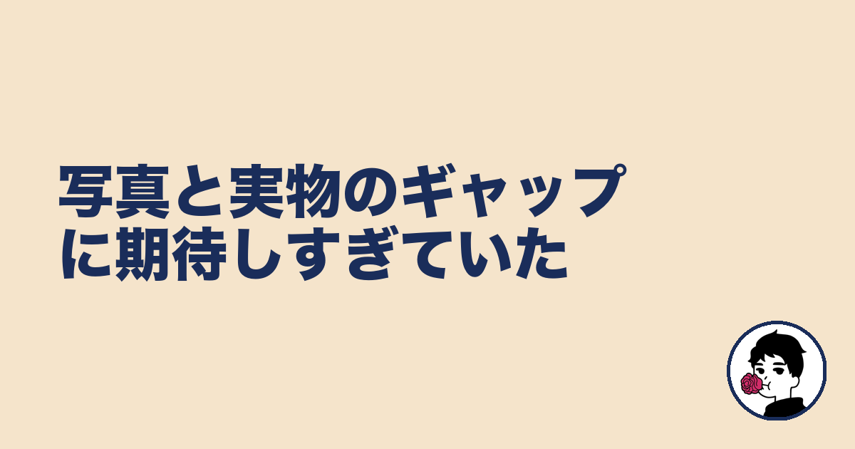 写真と実物のギャップに期待しすぎていた｜やましょ